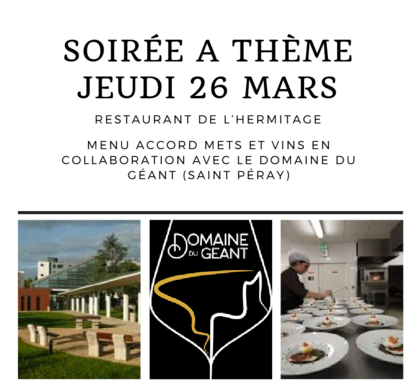 soirée à thème.png